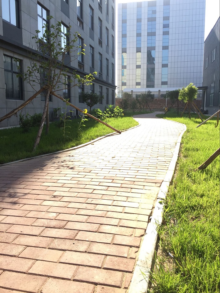 开云足球机械公司院内景