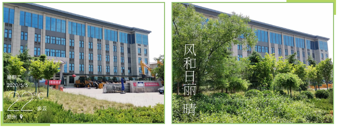 绿树环绕中的开云足球机械办公楼